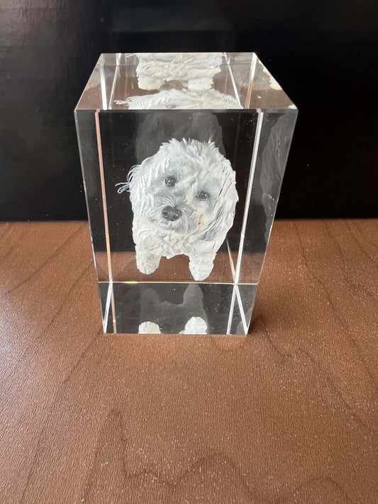 Personalized 3D crystal photo block engraved with a pet portrait